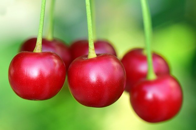 cherry-health-benefits
